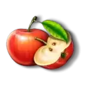 icon 4