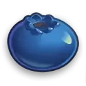 icon 10