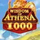 Wisdom of Athena 1000