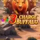 3 Charge Buffalo