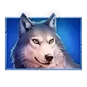 icon 4