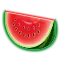 icon 4