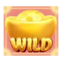 symbol 13