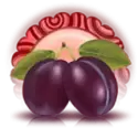 icon 4