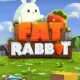 Fat Rabbit