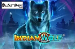 Indian Wolf