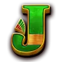 icon 9