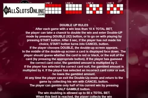 Paylines and risk game screen