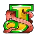 icon 9