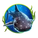 icon 2