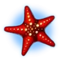 icon 8