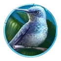 icon 6