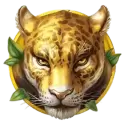 icon 4