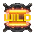 icon 10