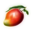 icon 5