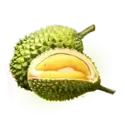 icon 6