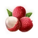 icon 3