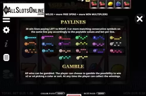 Paylines. Wild and Fruity from Leander Games
