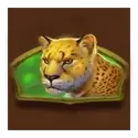 icon 5