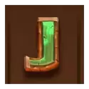 icon 9