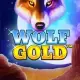 Wolf Gold