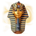 icon 4