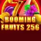 Booming Fruits 256