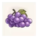 icon 5