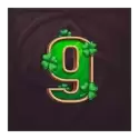 icon 10