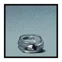 icon 10