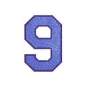icon 10
