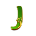 icon 12