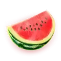 icon 4