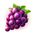 icon 3
