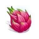 icon 6