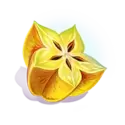 icon 5
