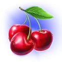 icon 6