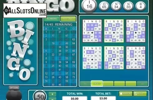 Game workflow 2. American BINGO from Rival Gaming