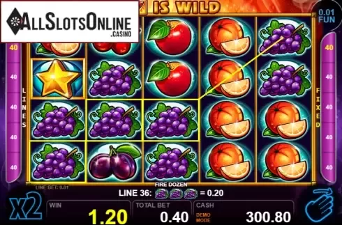Win screen 2. Fire Dozen from Casino Technology