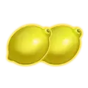 icon 5