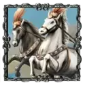 icon 4