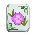 icon 4