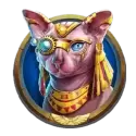 icon 4