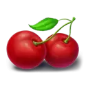 icon 9