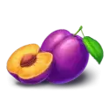 icon 6