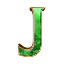 icon 9