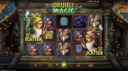 Druid’s Magic slot screenshot 2
