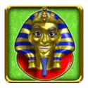 icon 12