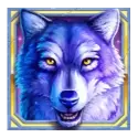 icon 4