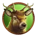 icon 6